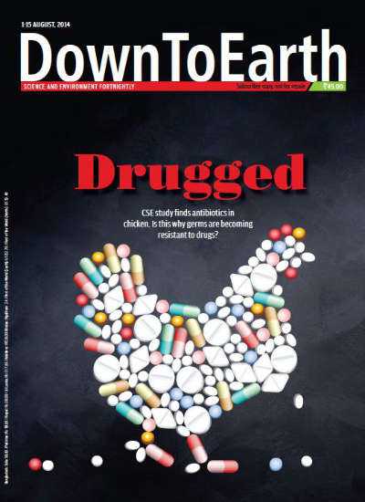 Antibiotics in Chicken