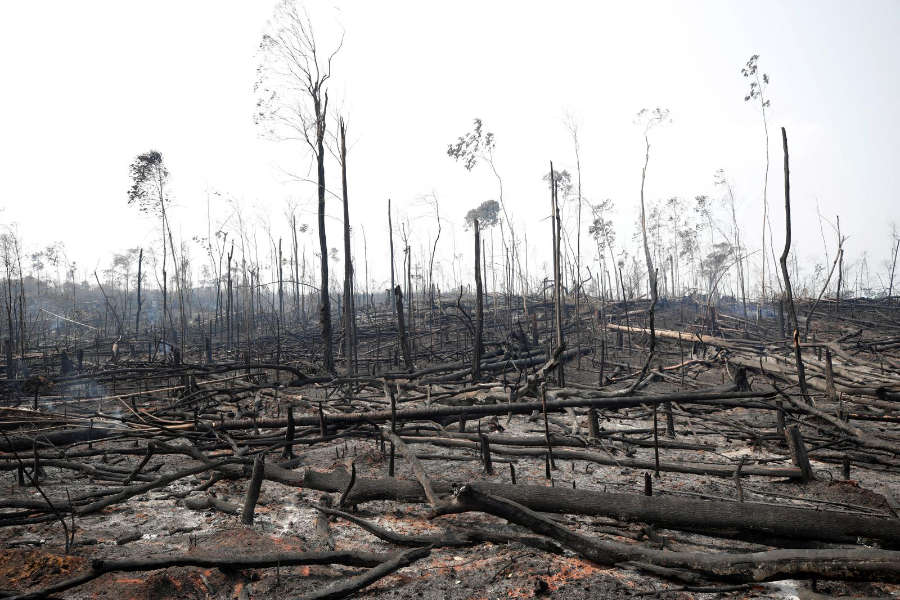 Deforestation, desertification and climate solutions Deforestation, desertification and climate solutions
