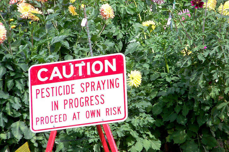 Draft pesticide Bill not worth the paper it’s written on Draft pesticide Bill not worth the paper it’s written on