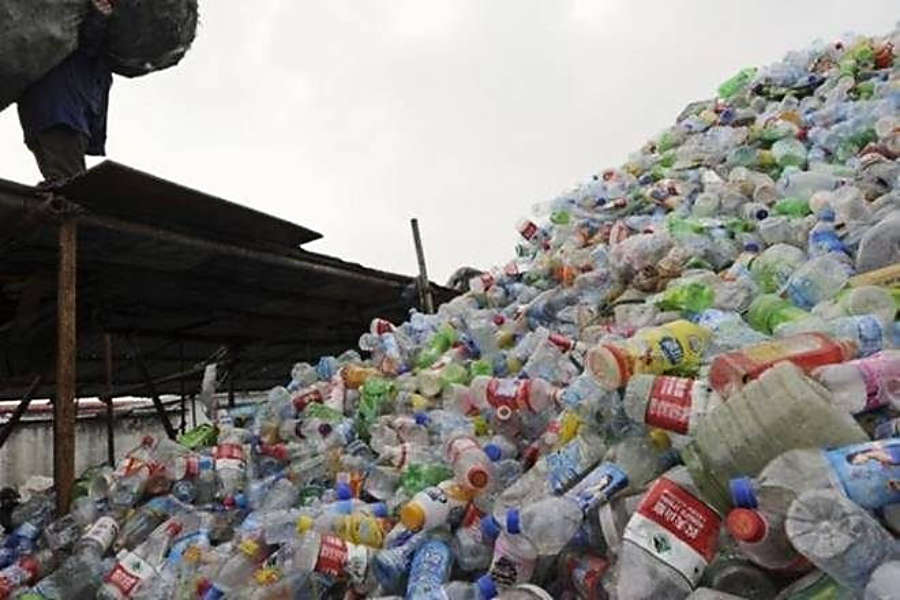Multiple categorisations trip single-use plastic regulation Multiple categorisations trip single-use plastic regulation