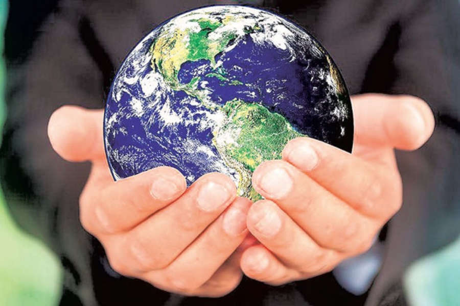 Why environmental issues are non-existent in this election